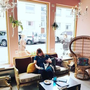 cozy atmosphere at Kattakaffihusid in Reykjavik