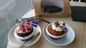 Cupcakes (choco+raspberry and salted caramel+vanilla) at Kattakaffihusid in Reykjavik
