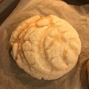 Vegan concha.  Amazing!!  at Baked Vegan in Port Chester