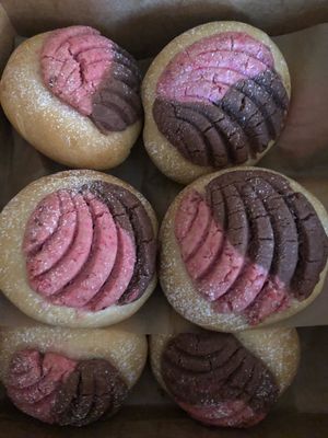 Neapolitan conchas! at Baked Vegan in Port Chester