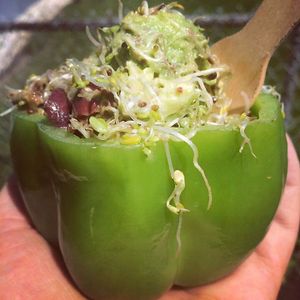 Avocado salad at Hub City Permaculture -The Kimchi Dude in Hagerstown