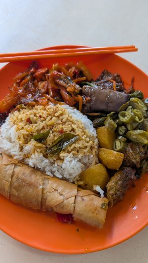 Rice, veggies, mock meat curry and spring roll at Tian En Vegetarian 天恩齋 in Central Singapore