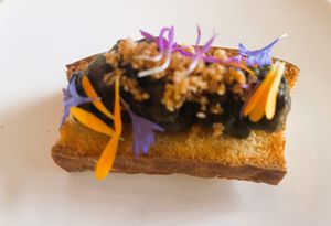 2024: Courgette, brioche, zwarte linzen at Foodstorms in Ghent