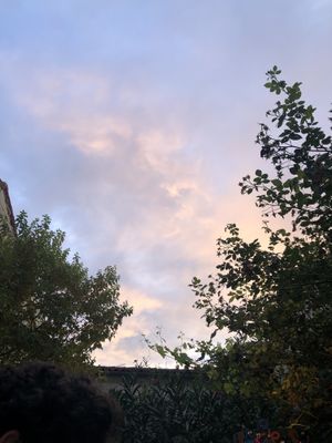 Beautiful outdoors place   at Le Comptoir des Utopies in Saintes