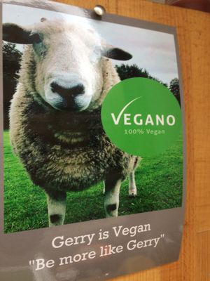Be more Gerry at Vegano - Food Truck in Newcastle Upon Tyne