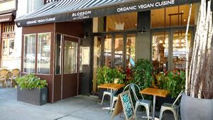 Cafe Blossom at Blossom Restaurant on Columbus in New York City