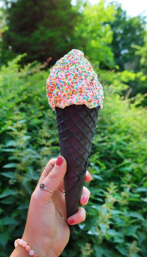   at De Eekhoorn in Rotterdam