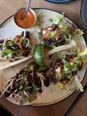   at Picaro in Saskatoon