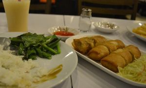 vegan veggie spring rolls at Nova Kitchen - MBK in Bangkok