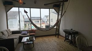 Upper floor hammock at Green's Baby in Matsue