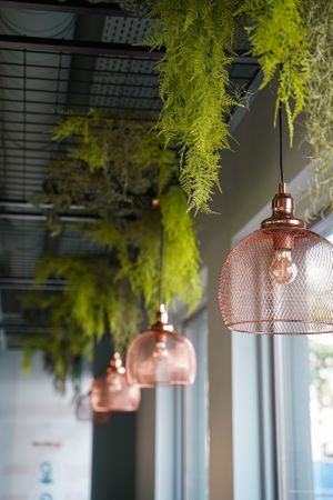  at Ali's Lebanese Incredible Sandwiches in The Hague