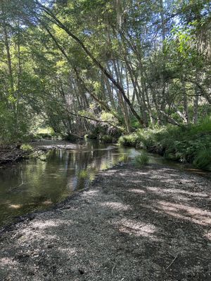 Creek  at Mandala Springs Retreat in Cobb