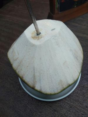 Coconut at LOKA in Kuta