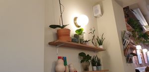 Nice plants at Leafwild Cafe in West London