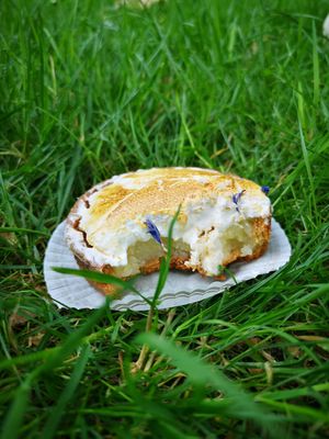  at Succulente Patisserie Végétale in Brussels