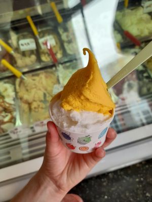 Lemon and mango ice cream in a cup at Eiscafe Puro in Heidelberg