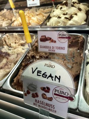 vegan hazelnut at Eiscafe Puro in Heidelberg