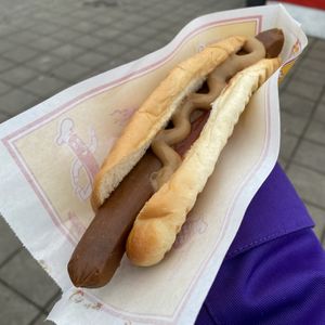 Vegan Hot Dog without onions, but with mustard and ketchup.  at Akureyri Hot Dog Stand in Akureyri