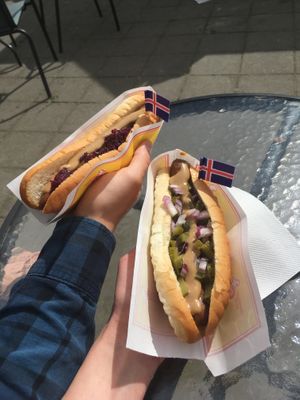 Vegan hot dogs! at Akureyri Hot Dog Stand in Akureyri