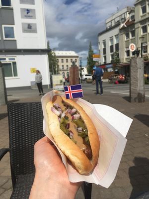 Vegan hot dog at Akureyri Hot Dog Stand in Akureyri