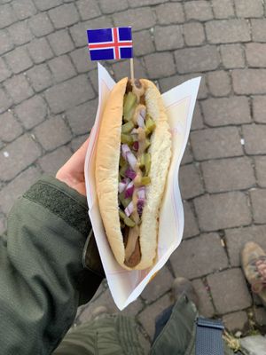 Vegan hot dog with pickled cucumbers   at Akureyri Hot Dog Stand in Akureyri