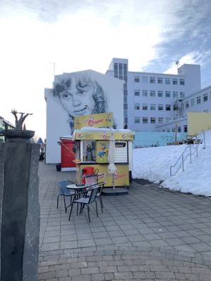The hot dog stand   at Akureyri Hot Dog Stand in Akureyri