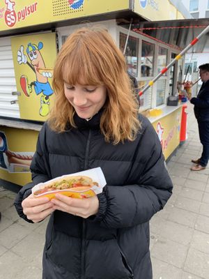 Vegan hot dog with pickles cucumber  at Akureyri Hot Dog Stand in Akureyri