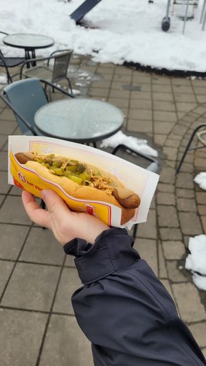 Vegan Hot Dog with pickled cucumbers at Akureyri Hot Dog Stand in Akureyri
