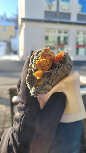 Vegan Volcanic at Akureyri Hot Dog Stand in Akureyri