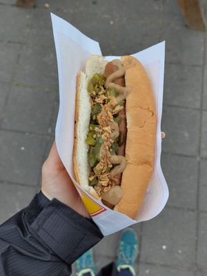 Vegan hotdog with pickled cucumber at Akureyri Hot Dog Stand in Akureyri