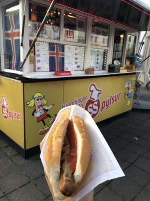 Vegan hotdog  at Akureyri Hot Dog Stand in Akureyri