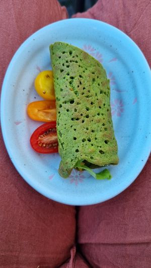  at Vegan B&B Valkenbos in The Hague