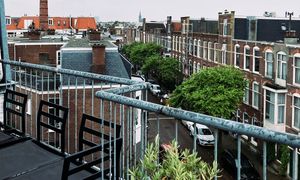 Een fijn terras met leuk uitzicht at Vegan B&B Valkenbos in The Hague