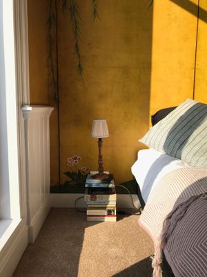 Something to read for rainy days. Though The Hague offers many interesting things to se and do throughout the seasons. But in case you want to stay in... at Vegan B&B Valkenbos in The Hague