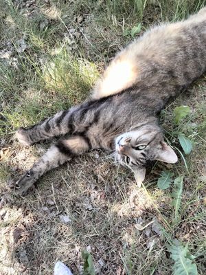  at Open New Doors in Mjolby