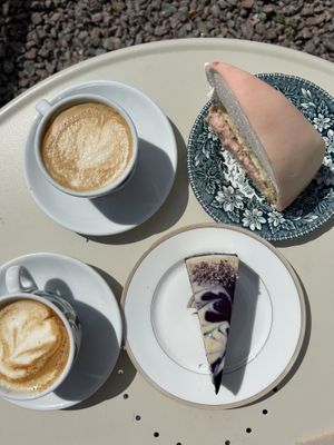 Princess cake and blueberry cake   at Open New Doors in Mjolby