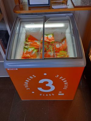 All vegan ice creams! at Open New Doors in Mjolby