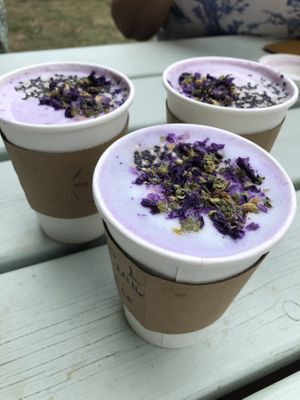 Taro and sesame lattes  at Hive Coffee Company in Jarrow