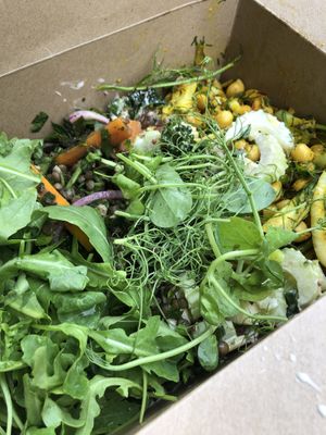 Three salads  at Hive Coffee Company in Jarrow