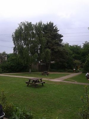 Outside seating at Hive Coffee Company in Jarrow