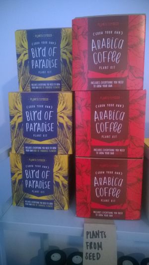 Grow your own kits at Hive Coffee Company in Jarrow