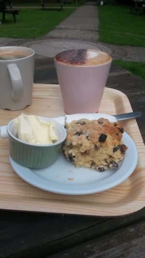 Fruit scone and vegan spread  at Hive Coffee Company in Jarrow