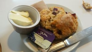 Fruit scone with vegan butter and blackcurrent jam at Hive Coffee Company in Jarrow