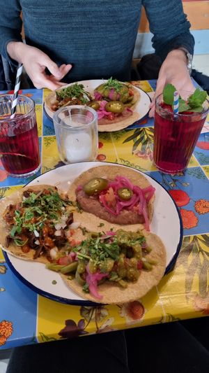 Taco with oyster mushrooms, taco with beans and taco with cactus at Taco Santo in Ghent