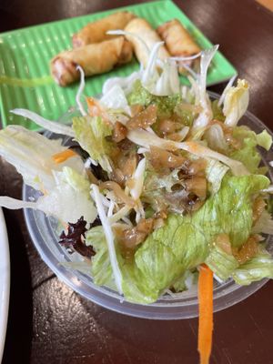 Salad  at Hanh Phuc - Vegetarian Restaurant in Surry Hills