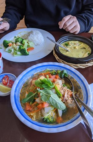 Hot and Spicy Pho + Golden Curry at Hanh Phuc - Vegetarian Restaurant in Surry Hills