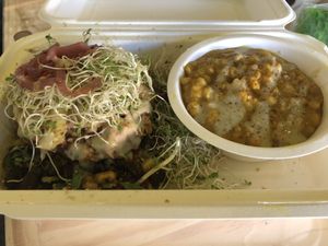 Best veggie burger in the world at The Sunshine Food Co in Cape Town