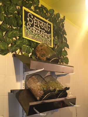 Sprout Sanctuary  at The Sunshine Food Co in Cape Town