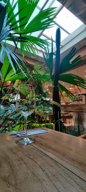  at KAIME in Medellin