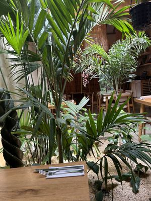   at KAIME in Medellin